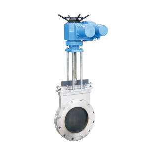 Gate Valve