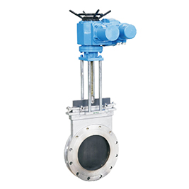 RP-1000 Gate Valve