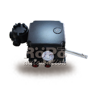 RPV9 Electrical Valve Positioner