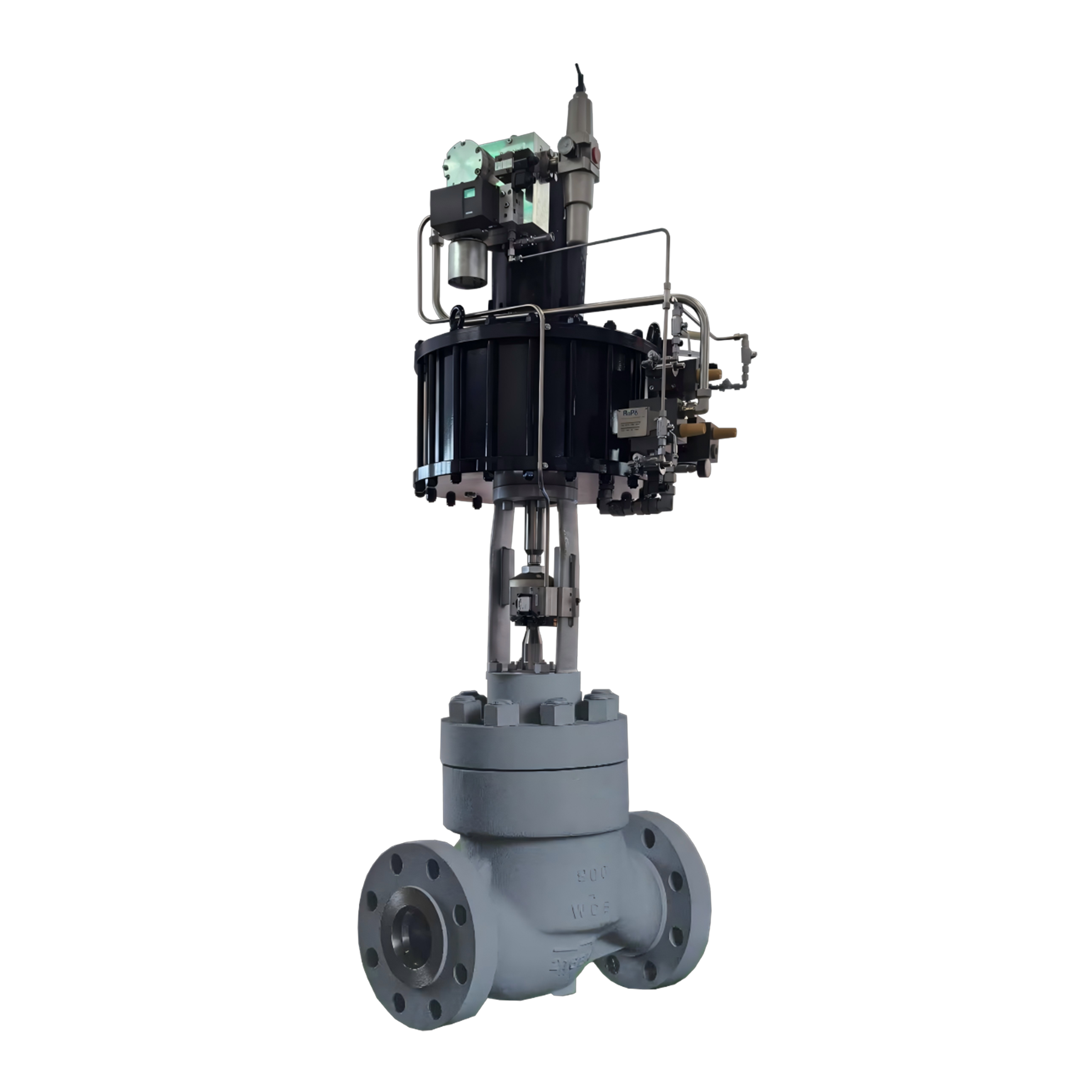 Globe Valve